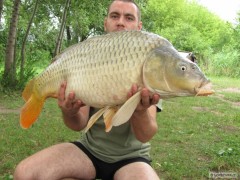 Kliknutím fotografii zvětšíte 8kg
