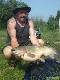 Amur z Labe a Kapr z Moravy