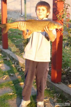 Kliknutím fotografii zvětšíte mrena 68 cm na feeder