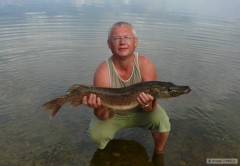 Kliknutím fotografii zvětšíte Dravci 2012