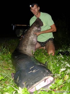 Kliknutím fotografii zvětšíte 235cm