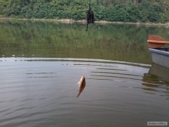 Kliknutím fotografii zvětšíte CELODENNÍ SNAHA NA ORLÍKU