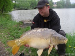 Kapr 80cm/10kg