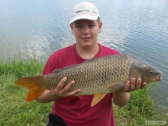kapr 79cm ze �tilce
