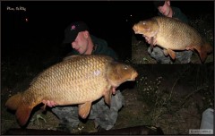 Kliknutím fotografii zvětšíte 14.80kg