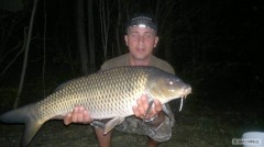 Kapr 70cm, 7,9kg