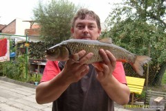 Kliknutím fotografii zvětšíte JELEC 45cm