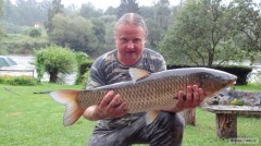 Kliknutím fotografii zvětšíte Amur 81 cm