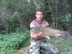Kliknutím fotografii zvětšíte amur 85cm