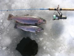 Duh�ci 42 + 32 cm