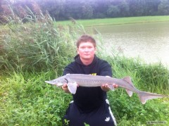 Sturgeon day!