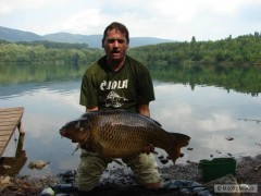 Kliknutím fotografii zvětšíte Kapr 88cm