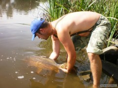 Kliknutím fotografii zvětšíte Labe 2012