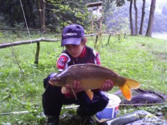 Kapr Obecn� 62cm