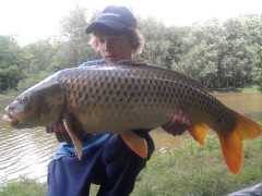Kapr Obecn� 92cm-11kg