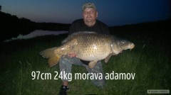 Kliknutím fotografii zvětšíte kaprik z moravy