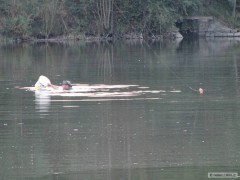 Kliknutím fotografii zvětšíte ,,Zaplavávačka