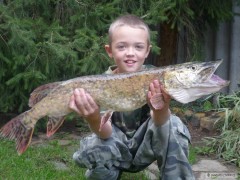 Kliknutím fotografii zvětšíte Harta2012