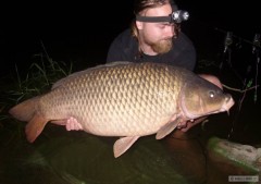 Kliknutím fotografii zvětšíte svaz září 2012