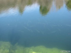 Kliknutím fotografii zvětšíte