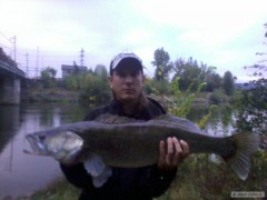 Zub�� 84 cm