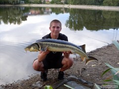 Sl�nskej krasavec