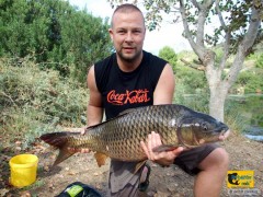 Kapr 94cm