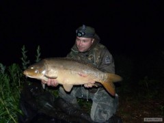 Kliknutím fotografii zvětšíte Carp, Dyje 2012