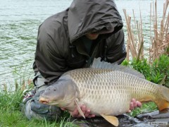 Kliknutím fotografii zvětšíte Carp 13 kg