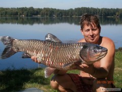 Kliknutím fotografii zvětšíte amur 104 19kg