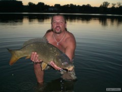 Kliknutím fotografii zvětšíte Kapr 84cm,,7Kg