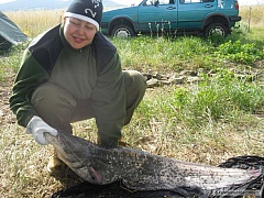 Kliknutím fotografii zvětšíte sumec 123cm