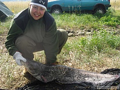 Kliknutím fotografii zvětšíte sumec 123cm