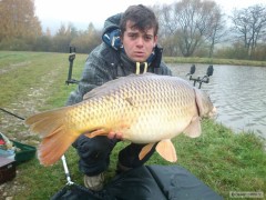 Kliknutím fotografii zvětšíte carp