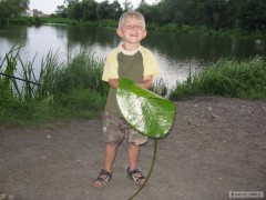 Kliknutím fotografii zvětšíte