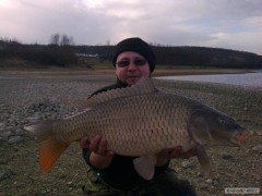 Kliknutím fotografii zvětšíte Kapr 75cm 8kg Jevišovka 2A 30.11 2012