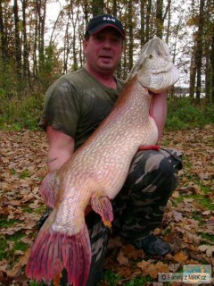 125 cm, 18 kg