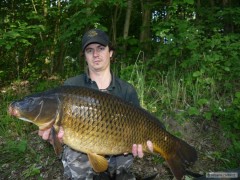 carp2012