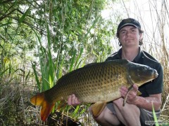 carp2012