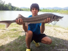 Jeseter 96cm