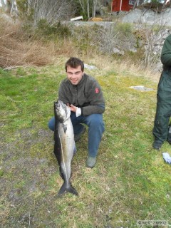 Hitra 2012 