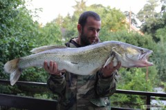 8,5 kg