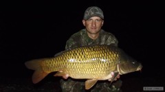 Kliknutím fotografii zvětšíte kapr 73 cm-7 Kg