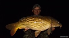 Kliknutím fotografii zvětšíte kapr 73 cm-6,20 Kg