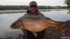 Kliknutím fotografii zvětšíte kapr 73 cm-7,70 Kg
