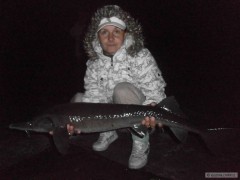 jeseter 96 cm
