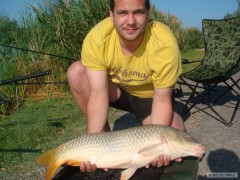 Madarsko  2012