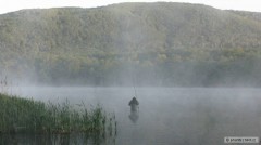 Kliknutím fotografii zvětšíte Černice
