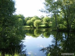 Bradlec,Mlada Boleslav