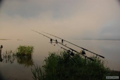 Kliknutím fotografii zvětšíte Lipno